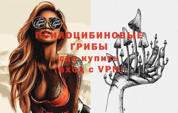 ПСИЛОЦИБИНОВЫЕ ГРИБЫ Алексеевка