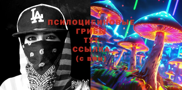 ПСИЛОЦИБИНОВЫЕ ГРИБЫ Алексеевка