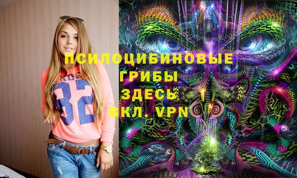 дурь Алзамай