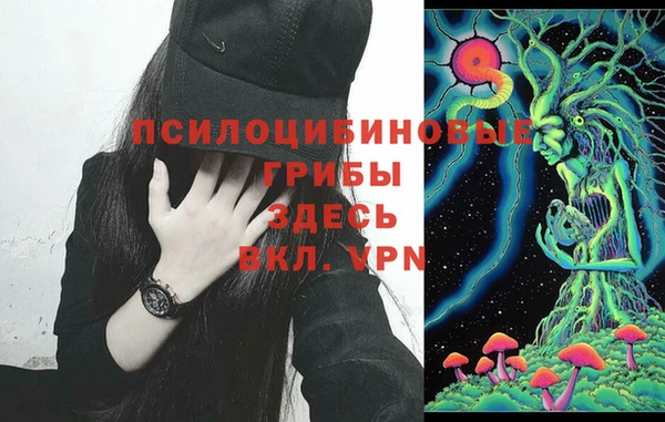 дурь Алзамай