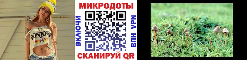Галлюциногенные грибы MAGIC MUSHROOMS  Лесной 